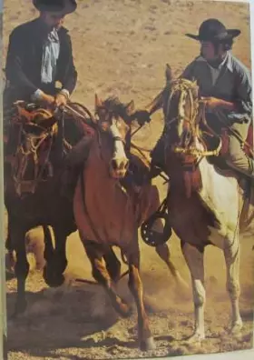 Couverture du produit · L'Argentine