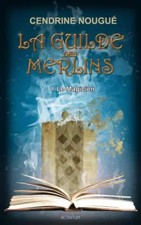 Couverture du produit · La guilde des Merlins, Tome 1 : Le Magicien