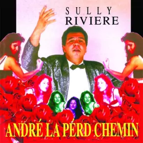 Couverture du produit · André la perd chemin