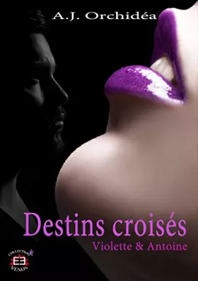 Couverture du produit · Destins croisés: Violette & Antoine - Tome 1