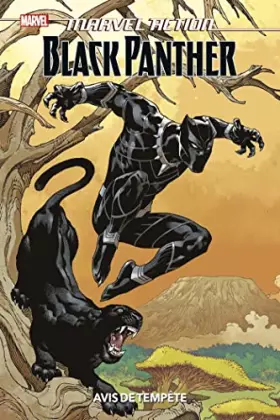 Couverture du produit · Marvel Action Black Panther : Avis de tempête (Variant Leclerc)