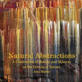 Couverture du produit · Natural Abstractions