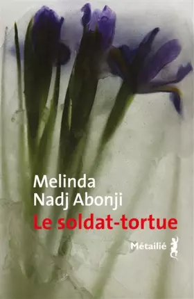 Couverture du produit · Le Soldat-tortue