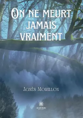 Couverture du produit · On ne meurt jamais vraiment