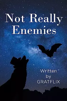 Couverture du produit · Not Really Enemies