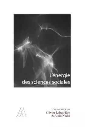 Couverture du produit · L'énergie des sciences sociales