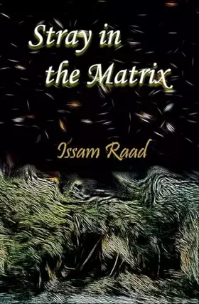 Couverture du produit · Stray in the Matrix
