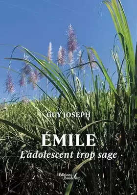 Couverture du produit · Émile