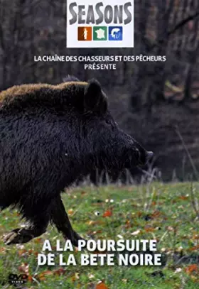 Couverture du produit · A la Poursuite de la bête Noire