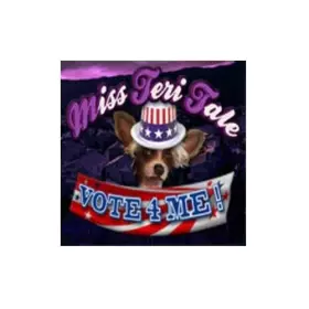 Couverture du produit · Miss Teri Tale 2 : vote 4 me